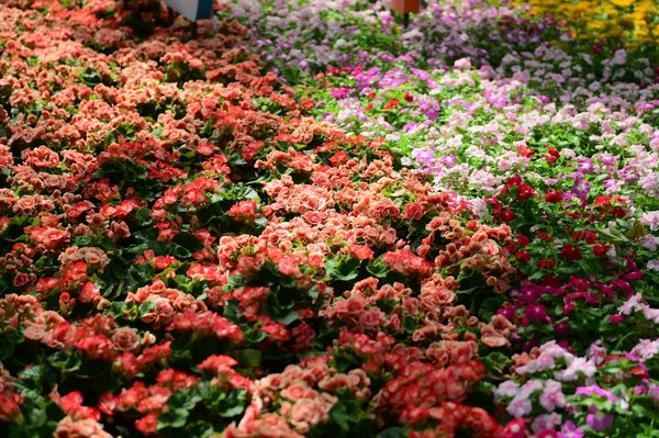 Maximisez les profits de votre villa avec la location saisonnière : Astuces et stratégies